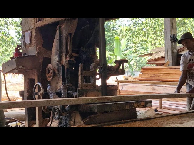 MIND-BLOWING Sawmill Techniques! Master Woodworking & Precision Cutting