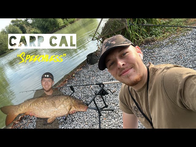 Method Feeder will Catch Big Carp! - Overnight at Hartley Lands Fishery Pear Tree lake with Carp Cal