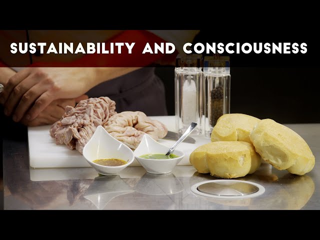 Sustainability and Consciousness in Nutrition