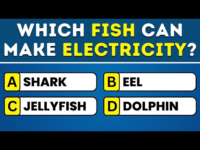 Your IQ Is Impressive If You Score 30+ 🧠 General Knowledge Quiz Challenge! 📚