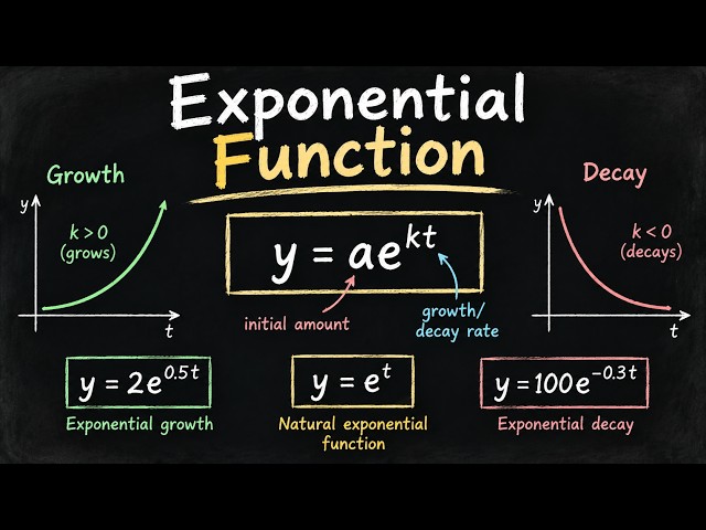 Exponential Functions