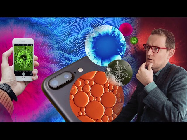 UX/UI: The Look and Feel of Great Design