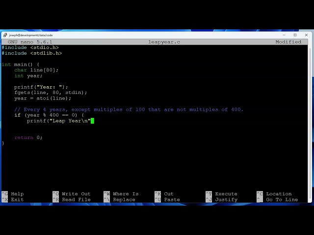 C Programming 014 - Leap Years