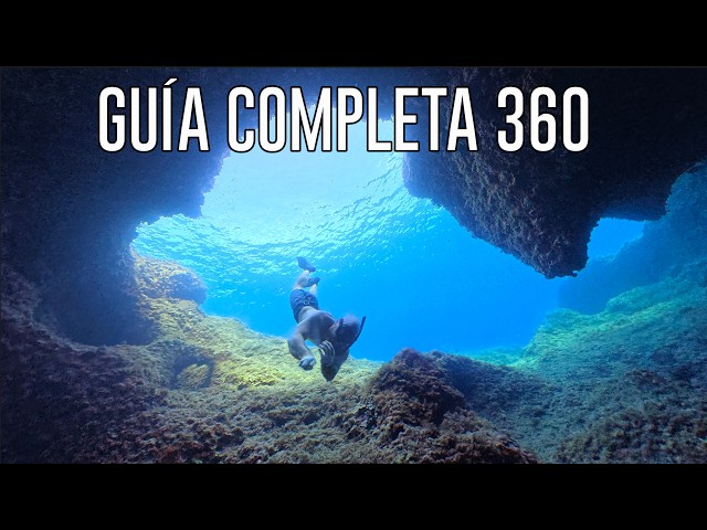 How to SHOOT UNDERWATER in 360!!! (ALL CAMERAS)