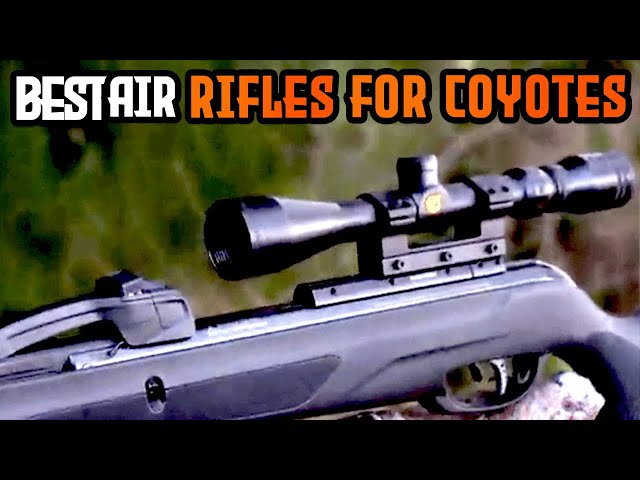 Top 6 Best Air Rifles for Coyotes in 2025 🎯🐺🔥– Precision & Power Unleashed!