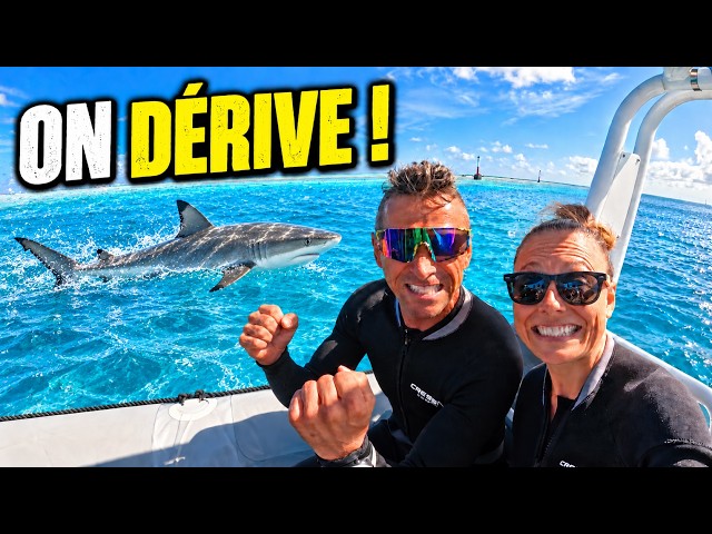 700 REQUINS autour de nous… et je manque d’air ! 😱 | Pacifique à l'envers EP7