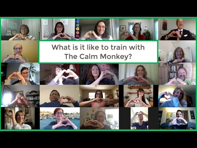 What's it like to take Mindfulness Facilitator Training & Certification with The Calm Monkey?