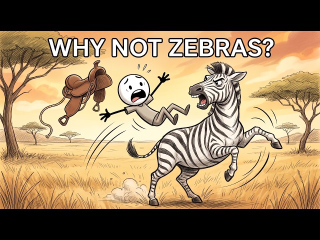 Why Can't You Tame a Zebra?
