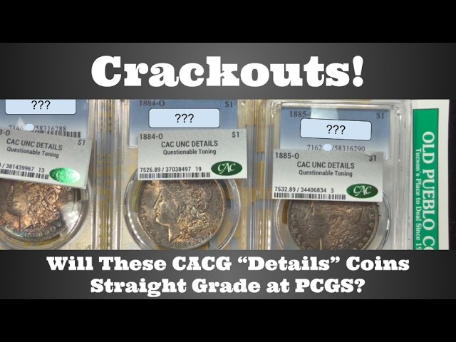 Crackouts! Will These CACG "Details" Coins Straight Grade at PCGS? - Some Big Grade Differences