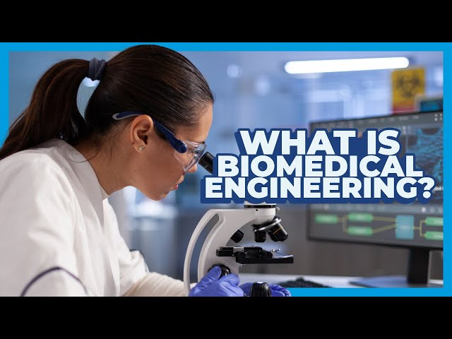 What is Biomedical Engineering? | The life-changing major where engineering meets medicine