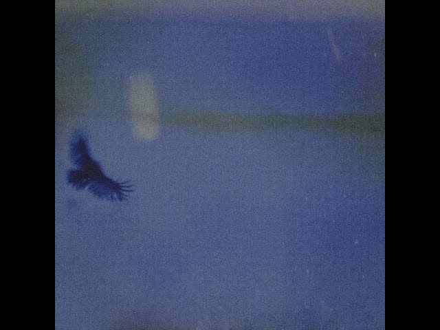 Sunset Stream - Sonsuz Parti
