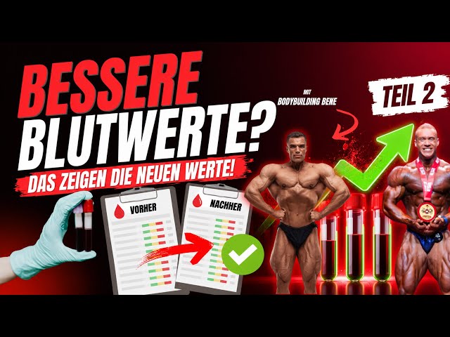 This protocol saved my off-season - Bloodwork optimization in just 6 weeks with Bene!