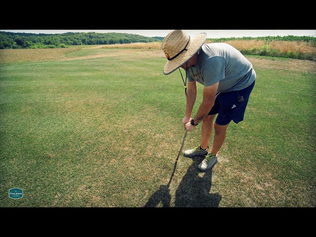 Irrigation BLOWOUT + Summer Lawn Issues + Lawn Renovation BEGINS