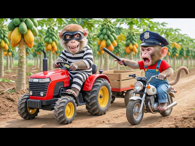 🔥🐒🍈 Monkey NaNa Harvests Papayas and Catches a Sneaky Thief Stealing His Tractor! 😱🚜💥