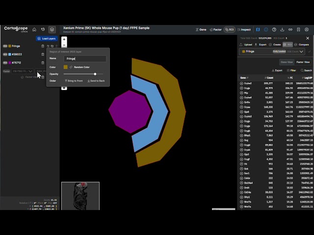 [Eye] 5. How to change ROI color and name