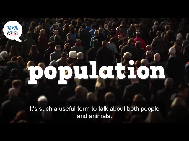 Everyday Grammar Video: 'Population' in Sentences