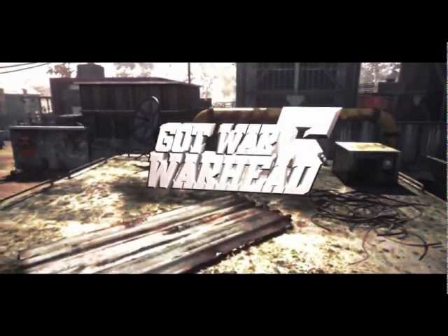 Digital Warhead (Introducing)