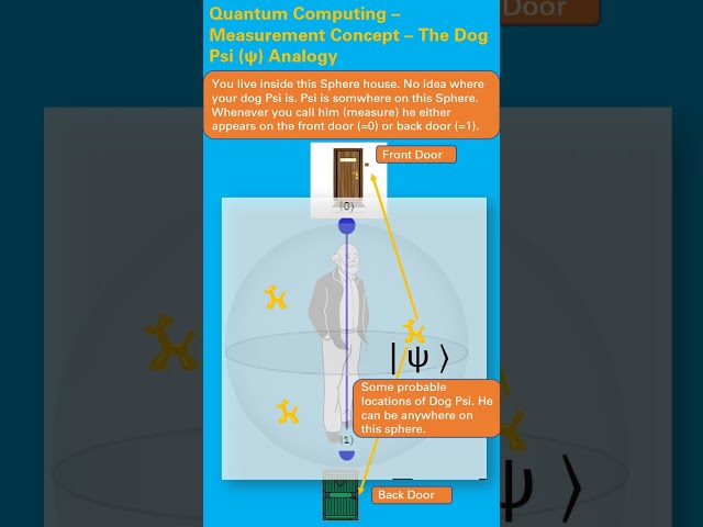 Quantum Computing – Measurement Concept – The Dog Psi (ψ) Analogy