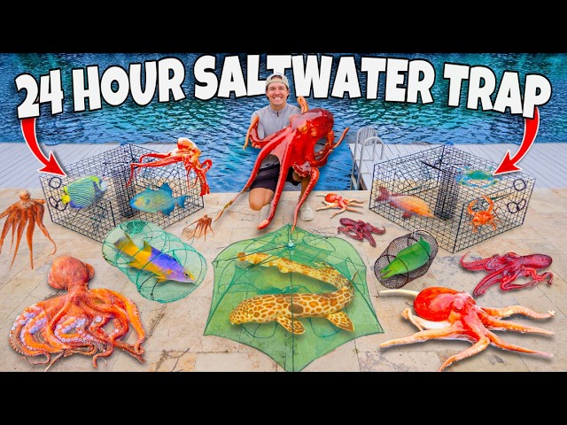24 HOUR FISH TRAP Catches TONS of FISH For My SALTWATER POND! (Creepy OCTOPUS)