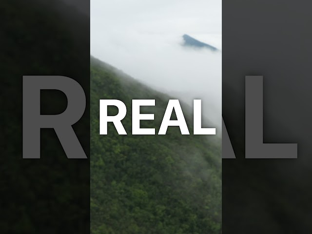 🎥 IA vs REALIDAD 🎥 ¿Realmente hay diferencia?