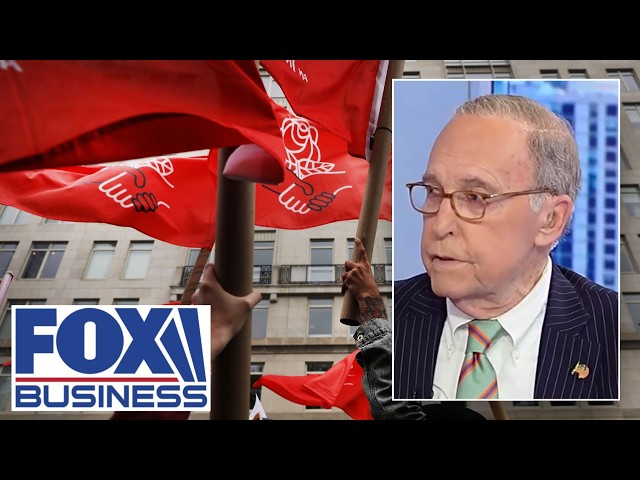 'THEY'RE GONNA GET CLOCKED': Kudlow give bad news for DSA movement for midterms