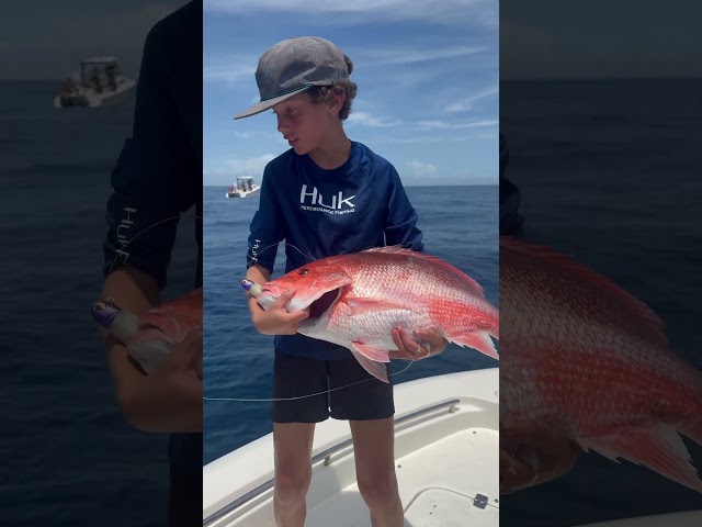 Giant ￼red snapper on 5 inch NLBN#nlbn #redsnapper #onthenickstick #fishing #fishingvideo