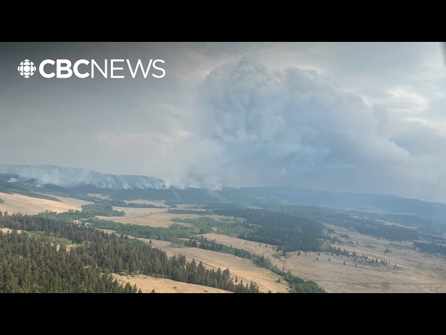 Little reprieve for firefighting efforts in B.C. as hot and dry conditions persist