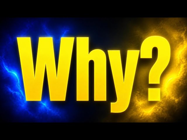 Why ~ Pt1
