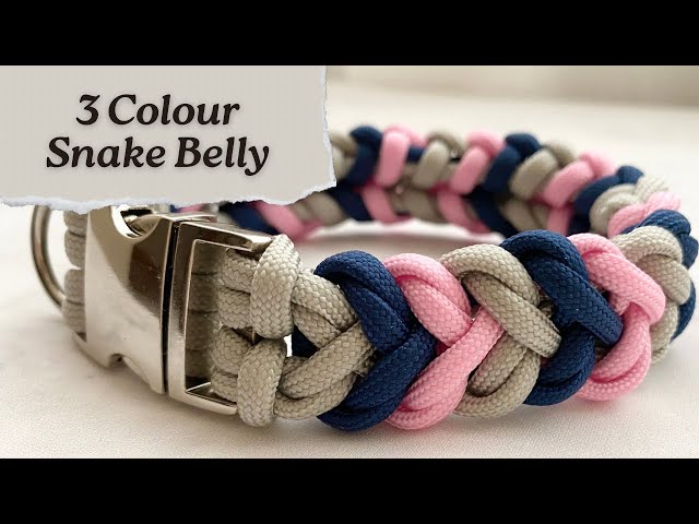 March Braid of the Month | 3-Colour Snake Belly Paracord Collar Tutorial