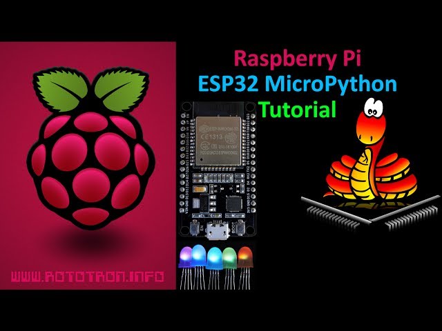 ESP32 MicroPython Tutorial with Raspberry Pi