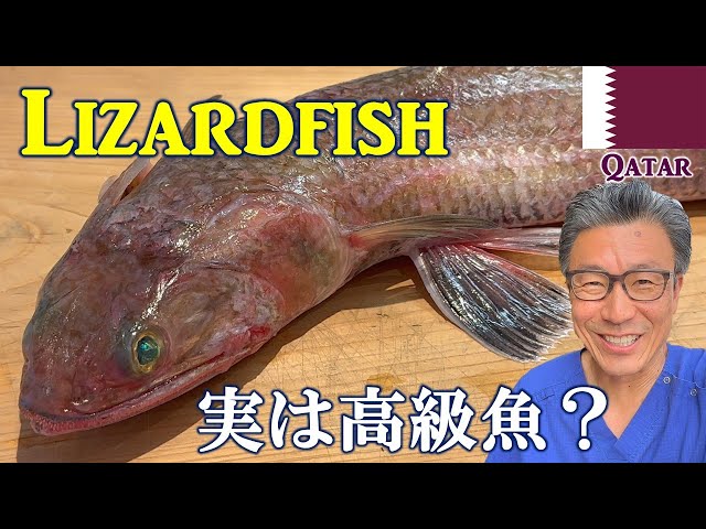 【Lizardfish】Looks Like a Lizard, Tastes Like High-Class Fish! | Surgeon’s Kitchen in Qatar