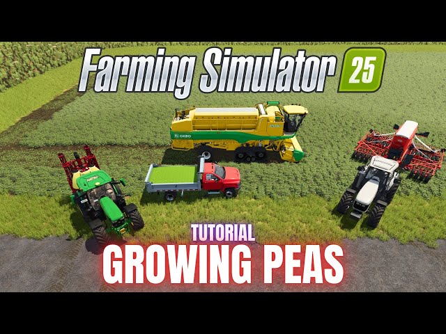 GROWING PEAS - TUTORIAL - Farming Simulator 25