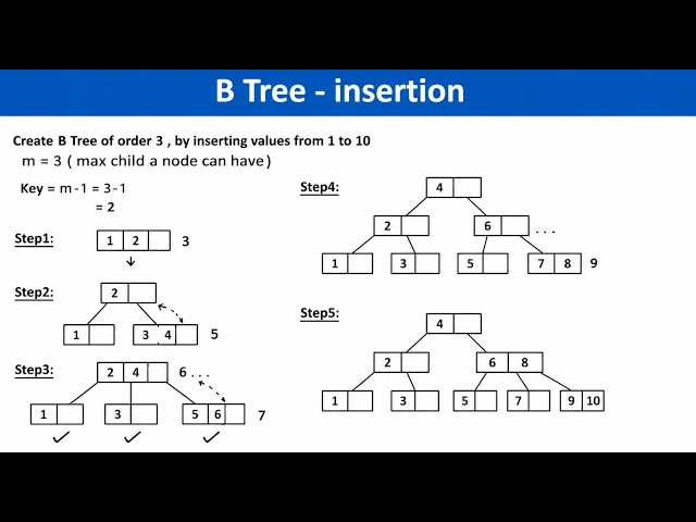 B tree (Insertion) Order 3  |Data structures & Algorithms |  All Universities
