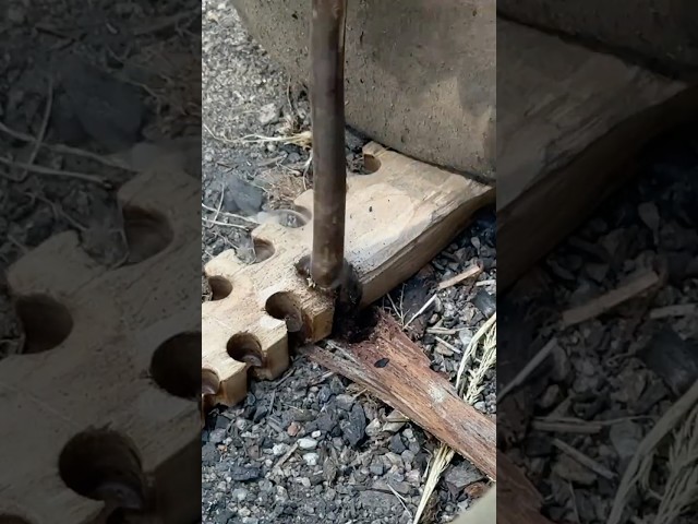 Friction Fire #survival #primitivetechnology #campfire