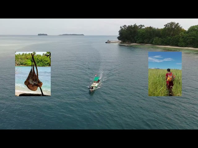 The Spirit of Papua | Sacred Tribal Rhythms for Deep Study