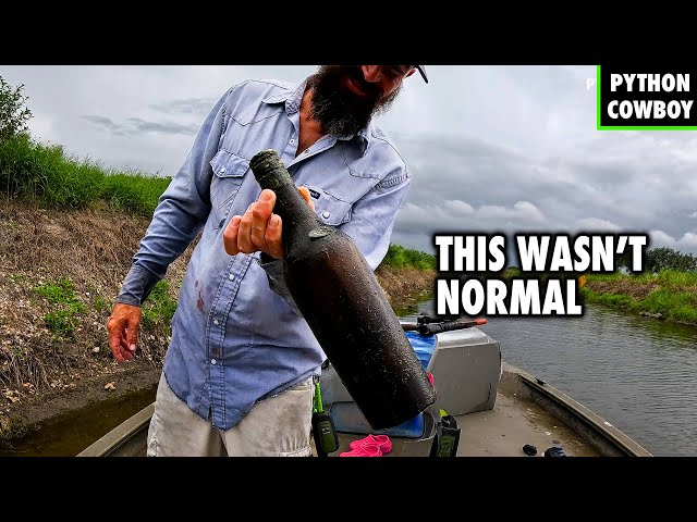 Removing Invasive Iguanas Until We Found Something Unexpected