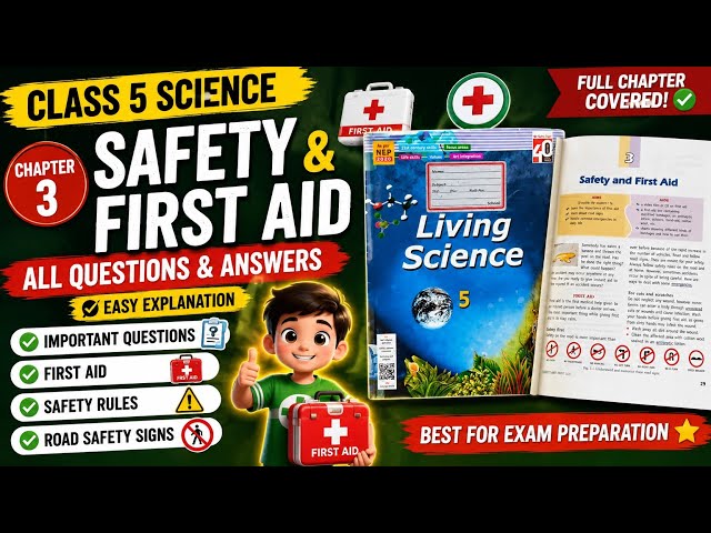 Class 5 Science Chapter 3 | Safety and First Aid | All Questions & Answers | Living Science