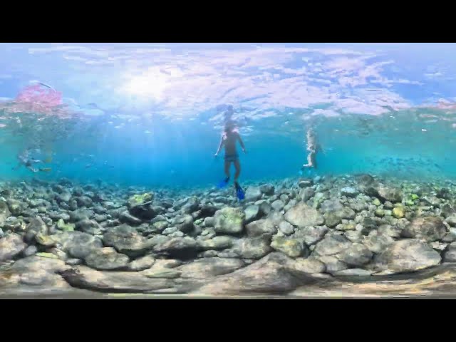 360° POV Dive Into Calm Mediterranean Waters With Me | 8K