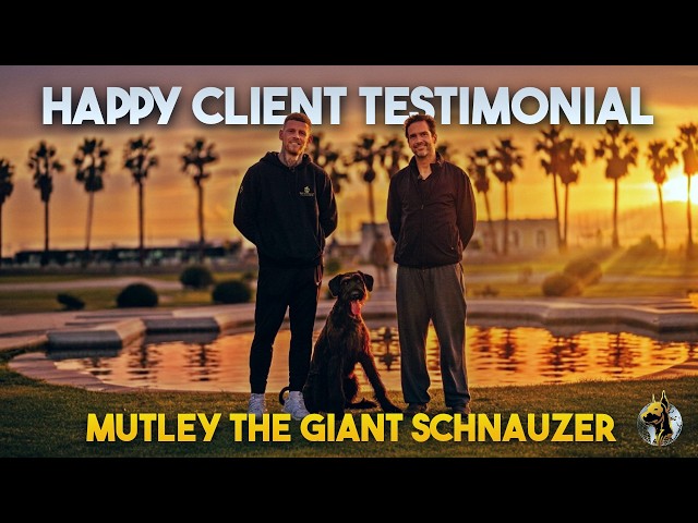 Why I Bought a SECOND Protection Dog! | Happy Client Testimonial