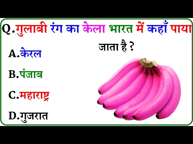 GK Questions || General Knowledge || GK Questions and Answers || GK Quiz ||