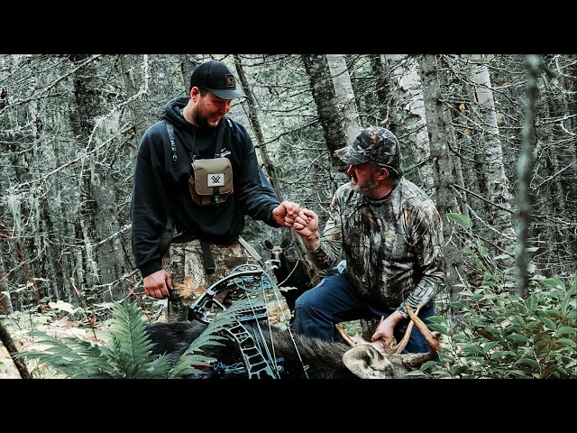 Chasse à l'orignal