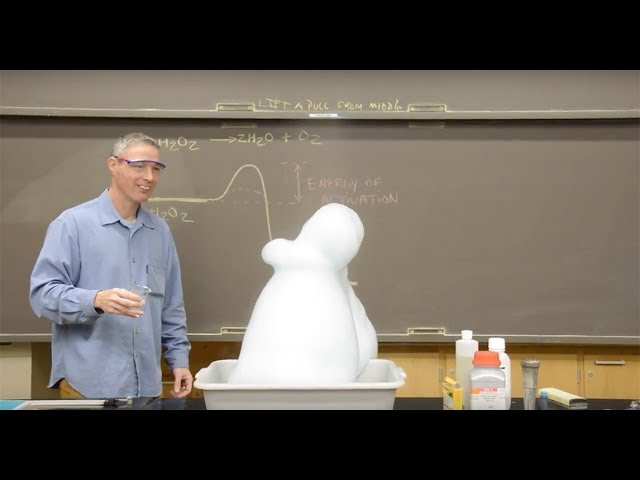 Catalysts in Chemistry Explained