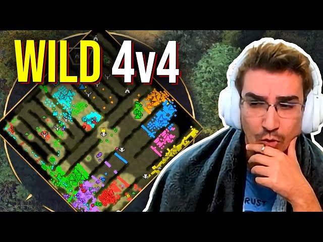 4v4 on Hedgemaze With Twitch Chat Goes a bit.. WILD!