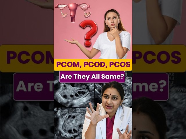 PCOM, PCOD, and PCOS Explained || Vriksh Fertility #shorts #fertilityfacts #healthfacts #pcod #pcos