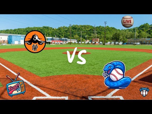 Bombers vs Pythons