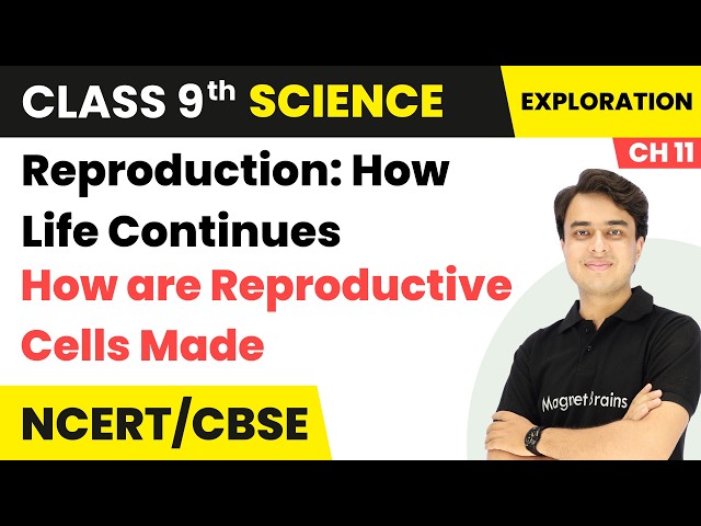 How are Reproductive Cells Made - Reproduction: How Life Continues | Class 9 Science | Ch 11 | CBSE