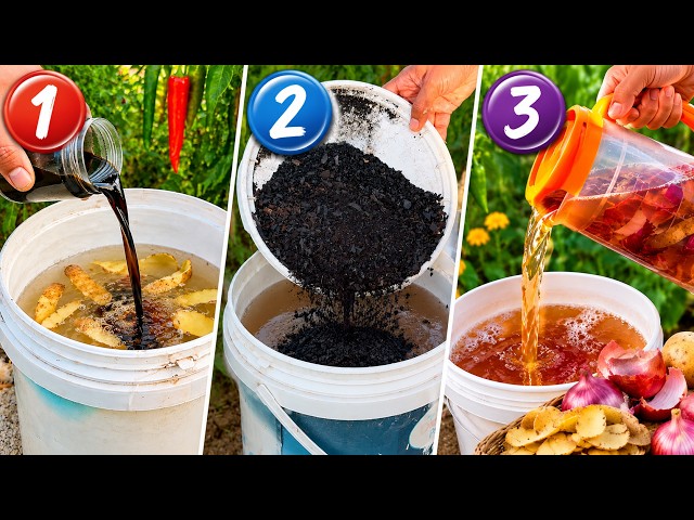 I Stopped Throwing Away Potato & Onion Scraps — 3 Simple Garden Fertilizers I Tried