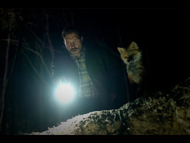 ‘The Fox’ Review Jai Courtney Emily Browning Dark Comedy Has Bite