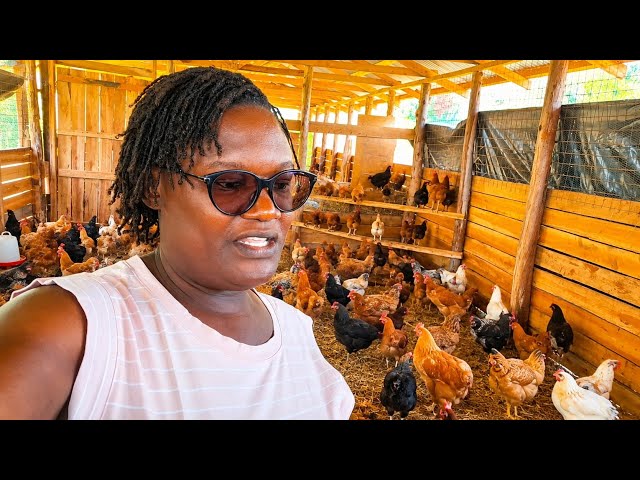 Huge Progress On Our Massive Ranch | Life in the countryside | Farm Life