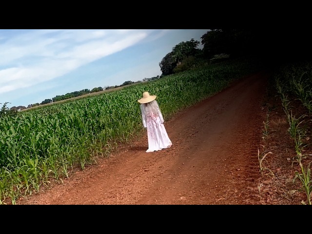 Scary Files Vol. 3